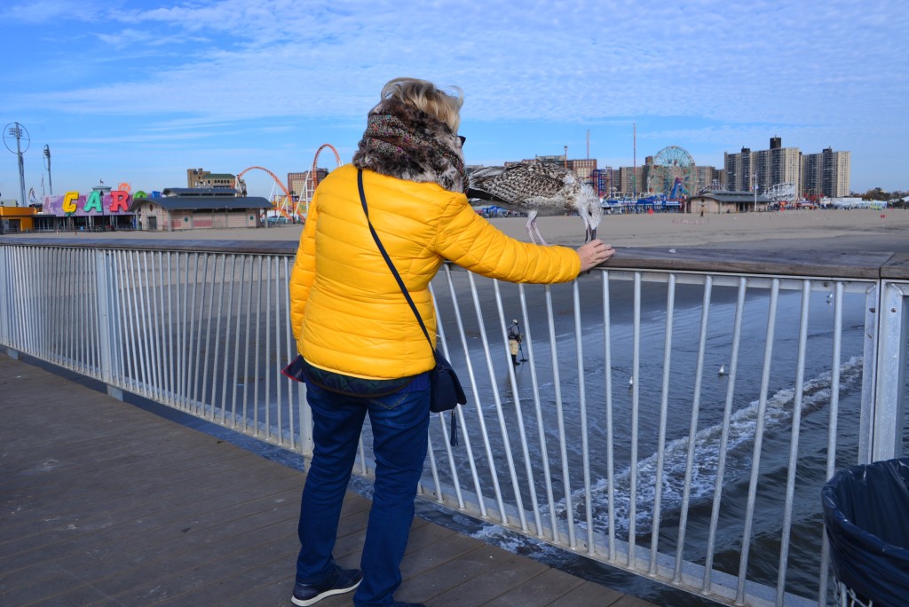 Coney Island33